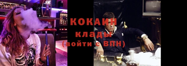 кокс Касимов
