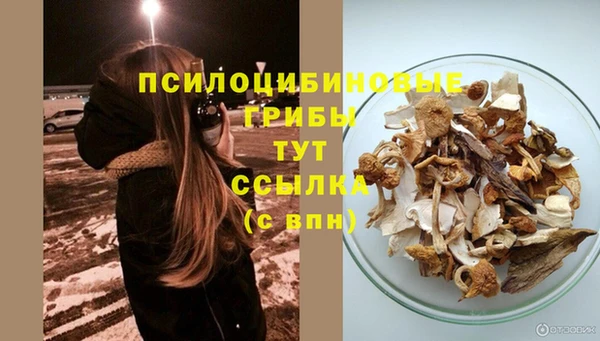 прущий лед Карпинск
