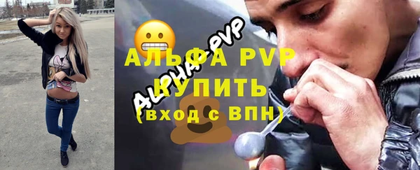 кокс Касимов