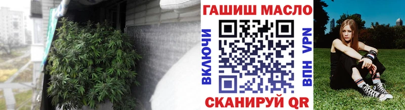 Купить где  Бородино  ТГК Wax 