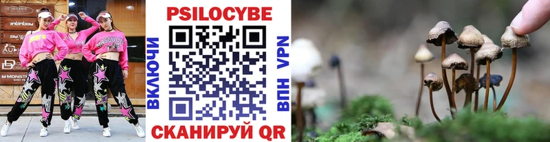 Галлюциногенные грибы мицелий  Купить где  Бородино 